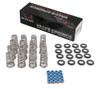 BTR 2009+ 5.7L Hemi .650" Conical Valve Spring Kit SK017 Brian Tooley Eagle Springs