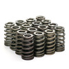 BTR 2009+ 5.7L Hemi .625" Beehive Drop-In Valve Spring Kit SP021-16 Brian Tooley 68277306AA Springs