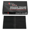 BTR 400+" Low Lift LS Truck Stroker Camshaft Cathedral Port Kit Brian Tooley Racing 402 408 416 Cam