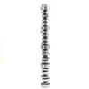 Non-AFM 4.8L 5.3L Single Bolt Camshaft for 2007-2013 5.3L AFM DOD Delete - Replaces 12689035 12625437
