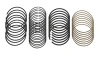 Hastings 2M4907 Ring Set for 2005-2010 Hemi 6.1L Dodge Chrysler Jeep | Standard Size Plasma-Moly Rings