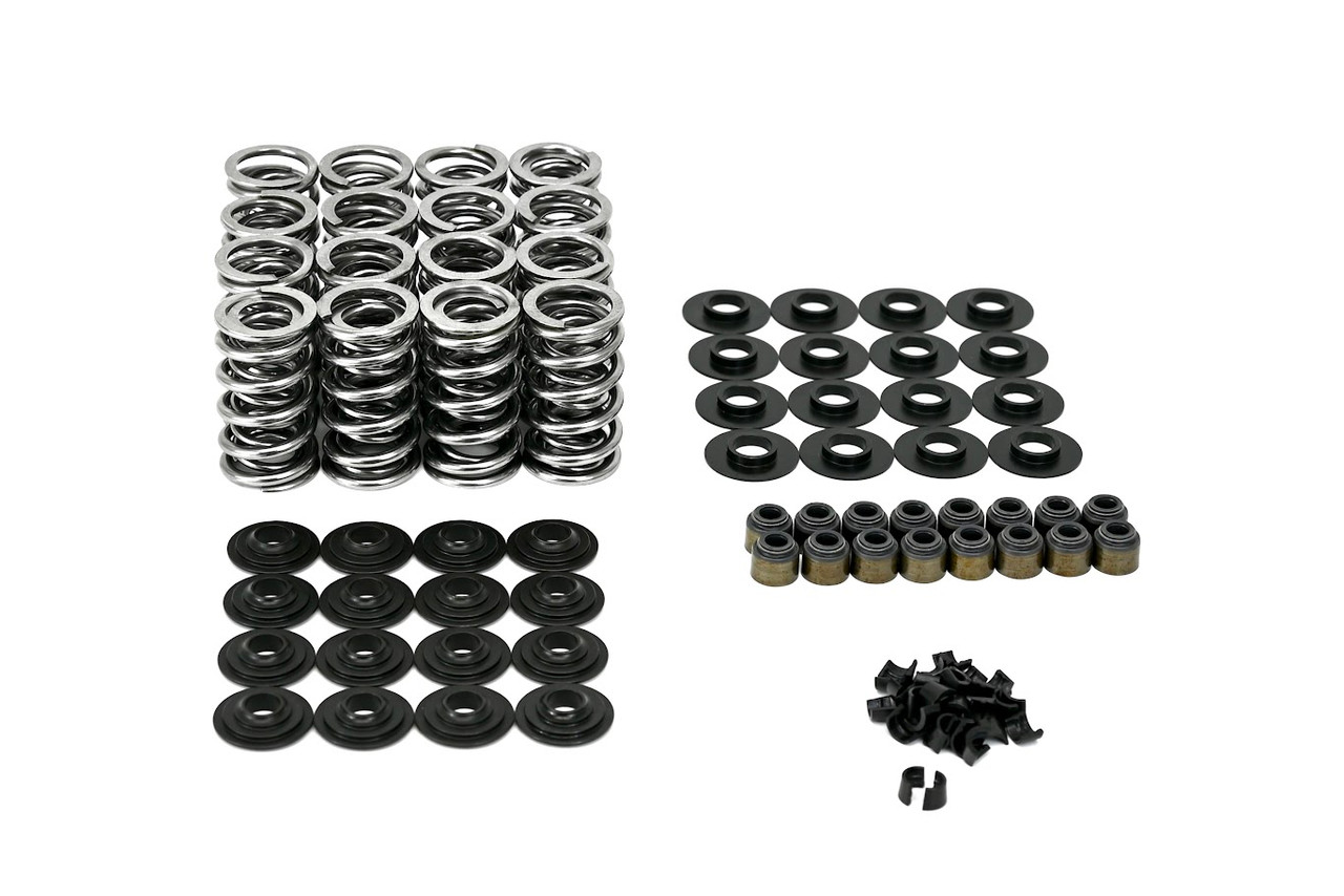 Michigan Motorsports .645 LS Dual Valve Spring Kit with Steel