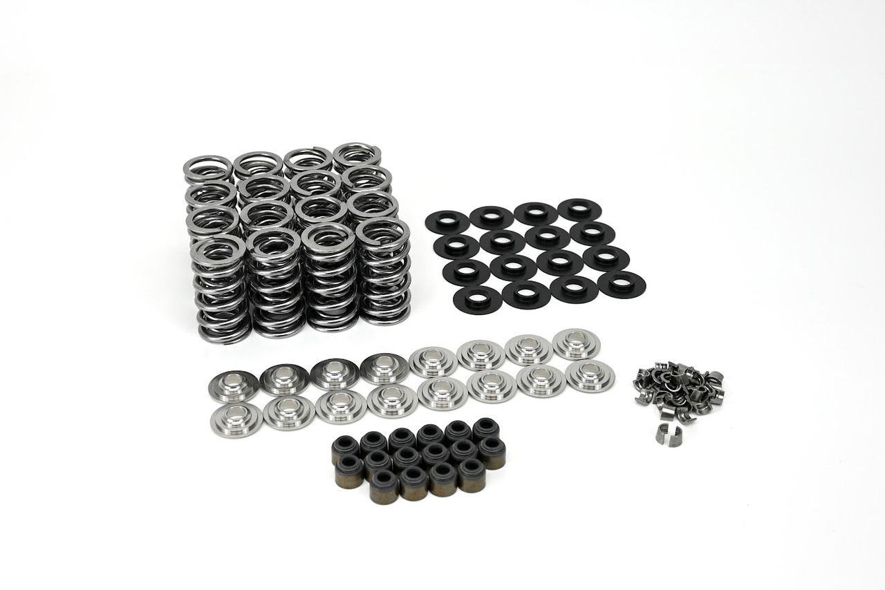 Michigan Motorsports .645 LS Dual Valve Spring Kit with Steel