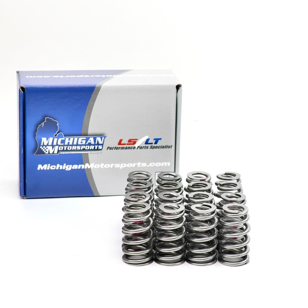 LSS研究所　WMP-5 22000 Michigan Motorsports .600