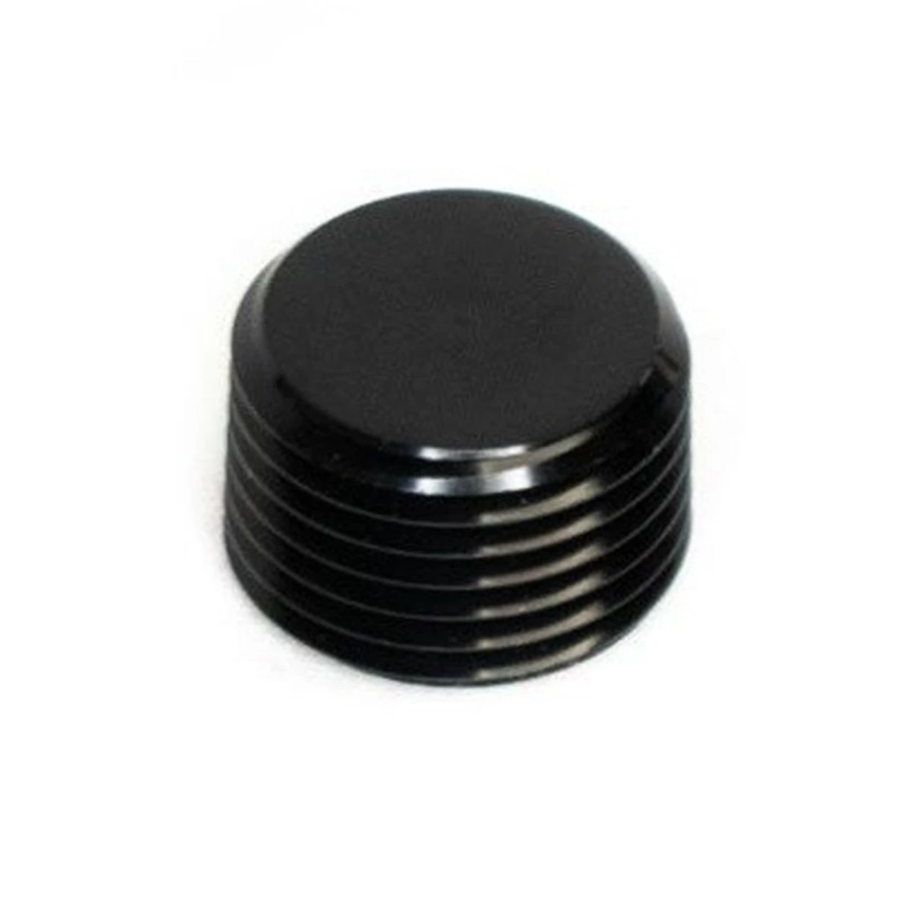 BTR 1/4" NPT Plug Fitting | Black 1/4 NPT Brian Tooley Racing Plug