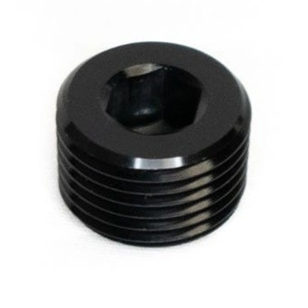 BTR 1/4" NPT Plug Fitting | Black 1/4 NPT Brian Tooley Racing Plug