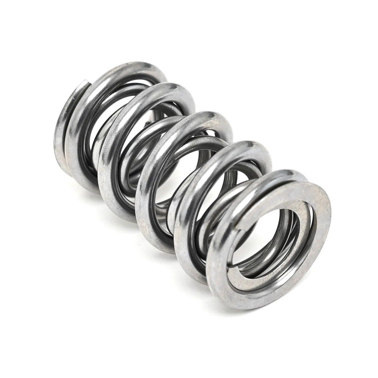 Brian Tooley Racing Platinum .660 Dual Spring Kit | Gen 3 4 LS
