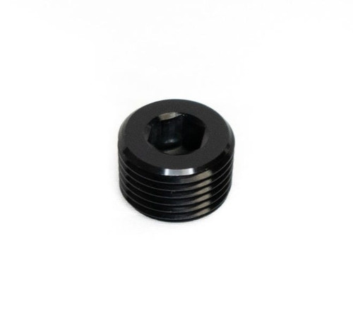 BTR 1/8" NPT Plug Fitting | Black 1/8 NPT Brian Tooley Racing Plug