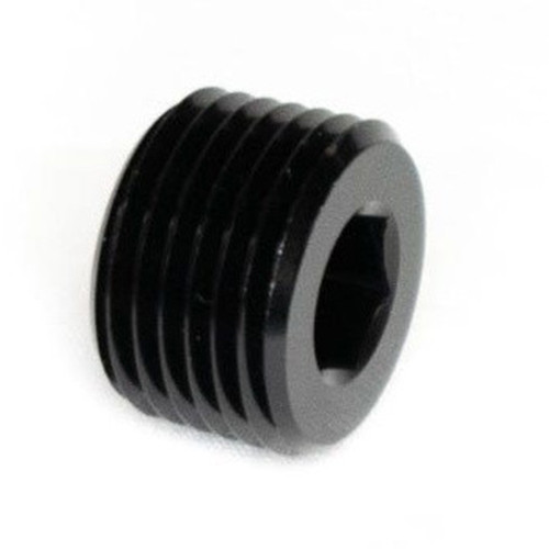 BTR 1/8" NPT Plug Fitting | Black 1/8 NPT Brian Tooley Racing Plug