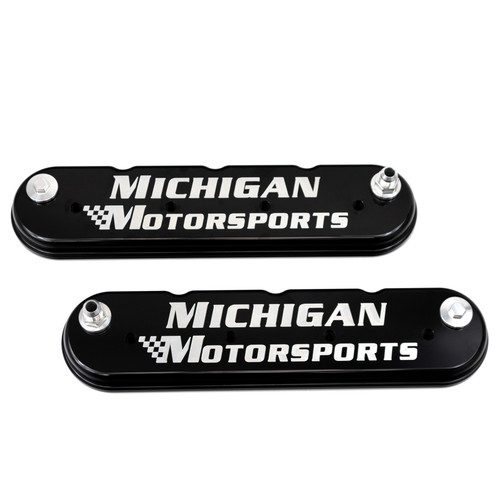 Michigan Motorsports Ai145 Kit LS Valve Seal Kit – 16 Stem Seals - Foto 5