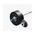 Eleiko Performance Weight Set - 185 kg, women, black with black ELEIKO-branded plates on the bar