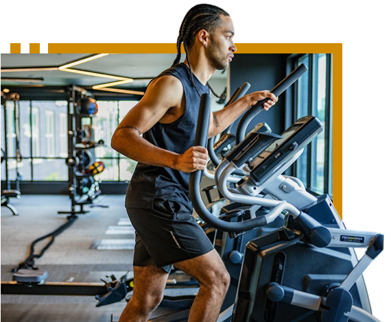 PMX ProMaxima Cardio Equipment