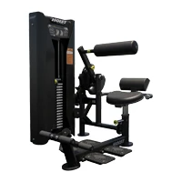 HOIST Ab Crunch/Low Back