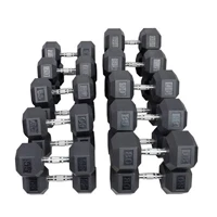 HOIST 55-100 Pair Dumbbells in 5lb Increments