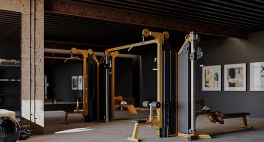 Eleiko Cable Freestanding Cable Stations