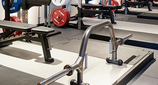 Build Your System with Integrates With Your Strength Floor: The Prestera Range