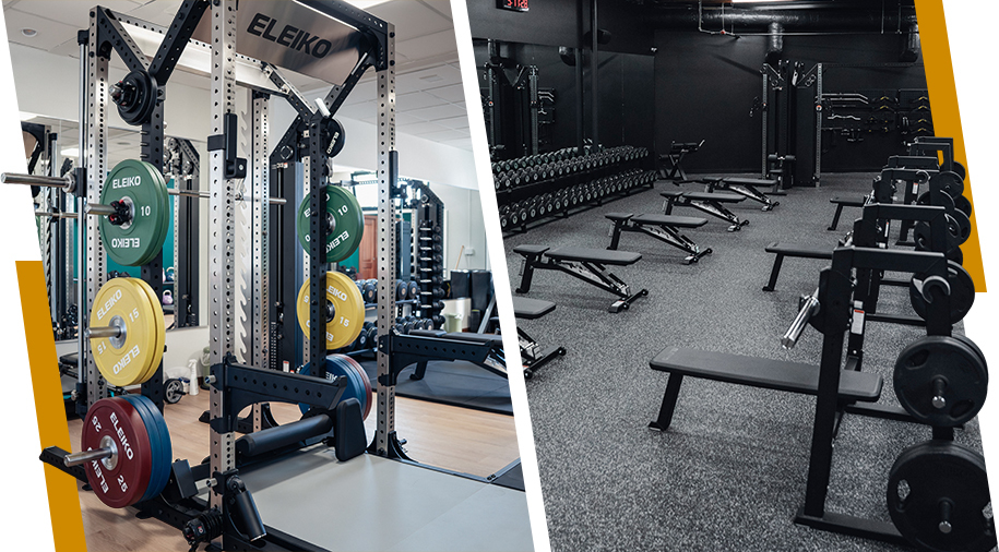Eleiko barbells, plates, and racks in a commercial strength facility