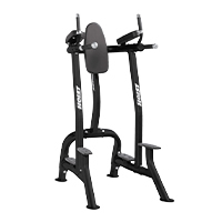 Hoist Vertical Knee Raise / Dip