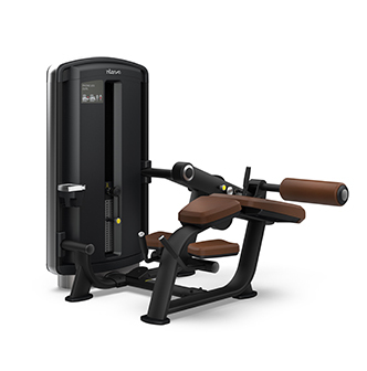 Intenza Dezign Line Prone Leg Curl
