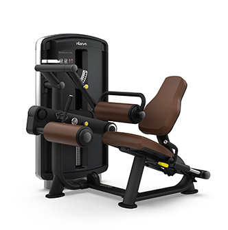 Intenza Dezign Line Seated Leg Curl