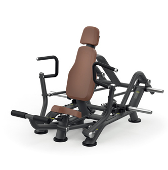Intenza Zone Line Decline Chest Press