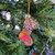 Fair trade recycled sari kantha Christmas holiday stocking ornament from Bangladesh