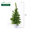 Garden Elements Artificial Pre-Lit Christmas Tree in Silver Tin Pot, 35 Clear Steady Lights, 24"