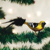 Old World Christmas Glass Blown Christmas Clip On Ornament, Hooded Oriole (With OWC Gift Box)