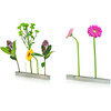 XXD Boulevard Blumenallee Polished Aluminum Flower Vase, Floating Stems, 11.6"