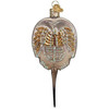 Old World Christmas Glass Blown Ornament for Christmas Tree, Horseshoe Crab
