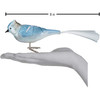 Old World Christmas Glass Blown Clip On Christmas Ornament for Tree, Blue Jay