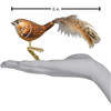 Old World Christmas Glass Blown Clip On Christmas Ornament, Wren