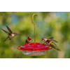 Aspects Little Fancy Red Hummingbird Feeder — 3 Feeding Ports & Ant Moat — 8 oz
