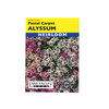 Lake Valley Seed: Alyssum Pastel Carpet Flower