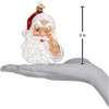 Old World Christmas Glass Blown Night Before Christmas Santa Ornament Old World Christmas Glass Blown Night Before Christmas Santa Ornament