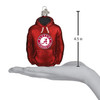 Old World Christmas 60100 Glass Blown Alabama Hoodie Ornament