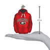 Old World Christmas 62303 Glass Blown Georgia Hoodie Ornament Old World Christmas 62303 Glass Blown Georgia Hoodie Ornament