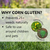 Jonathan Green Corn Gluten Weed Preventer Plus Lawn Food, 15lb, 5,000 sq ft