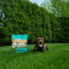 Jonathan Green 10-0-1 Organic Lawn Food for Lush Green Grass, 15,000 sq ft