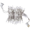 Holiday Wonderland Indoor/Outdoor String Lights, 100 Clear Mini Bulbs, White Wire, Lighted Length 22.75