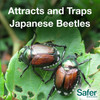 Safe Brand The Japanese Beetle Trap with Controlled-Release Lure