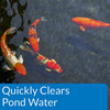 API Pondcare Accu-clear Pond Water Clarifier, 32-oz