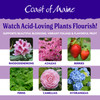 Coast of Maine Planting Soil for Acid-Loving Plants, 20qt
