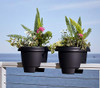 Bloem DR1209 Deck Balcony Rail Planter 12 Casper White