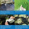 API Pond Algaefix Algae Control, 64-ounces - Treats up to 19,200 gallons