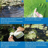 API POND ALGAEFIX Pondcare Algae Control Solution 32oz