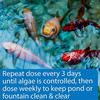API Pond Algaefix Algae Control Solution for Clear, Healthy Pond Water, 32 oz