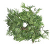 Garden Elements Fresh Live Christmas Holiday Decorative Greens Rope Garland, Western Cedar, 25'