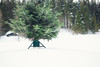 Tree Nest (#218622) Large Red Geometric Christmas Tree Stand