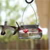 Nature’s Way Glass Mason Jar Hummingbird Feeder — 4 Feeding Ports — Easy Fill & Clean, 6 oz